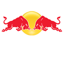 RedBull X2010 TRGP Badge